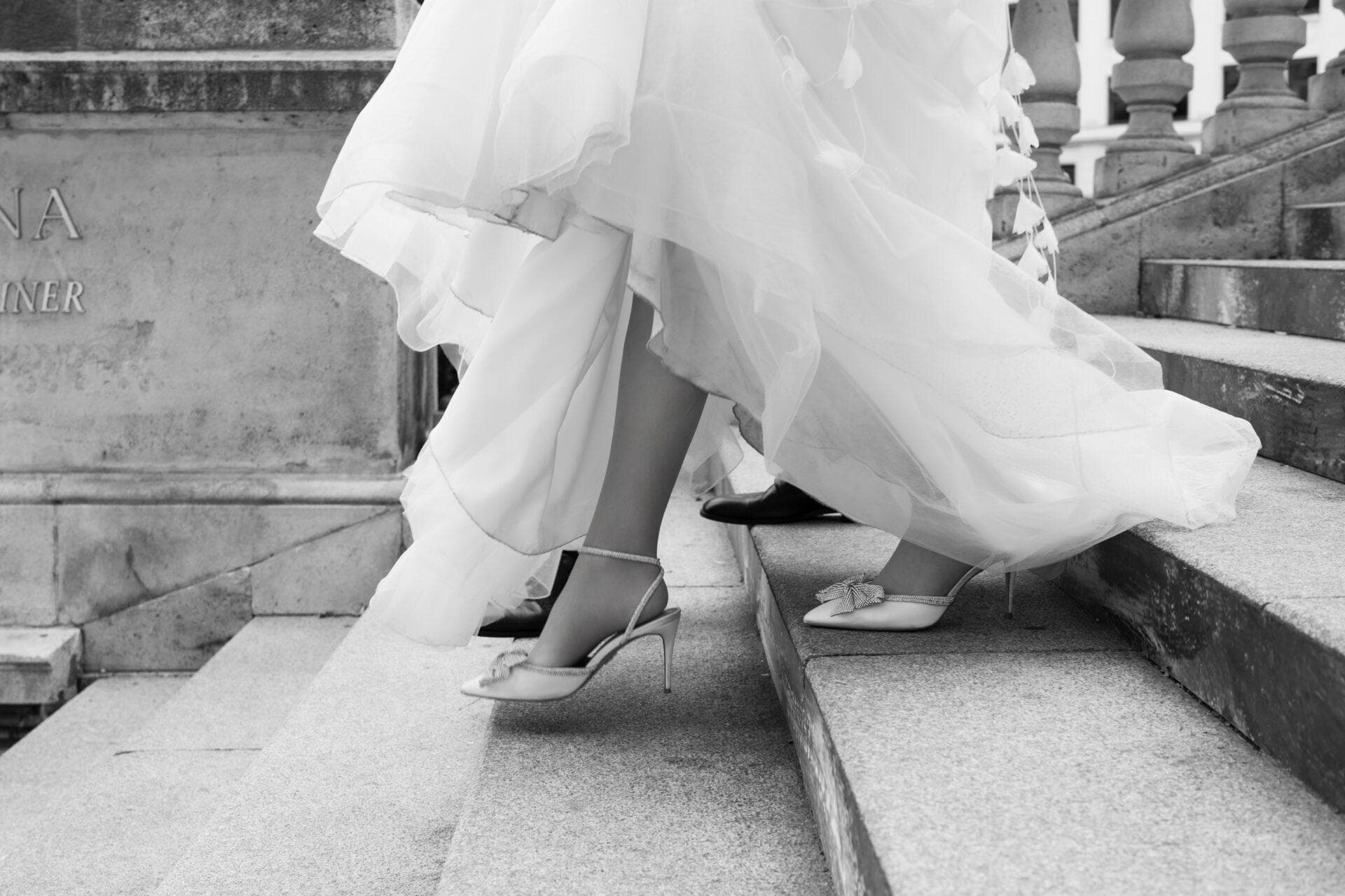 Elegancia Viedne
